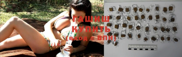 гашик Болотное
