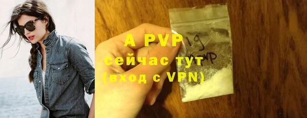 спиды Нефтегорск
