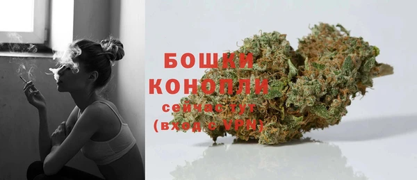 гашик Нея