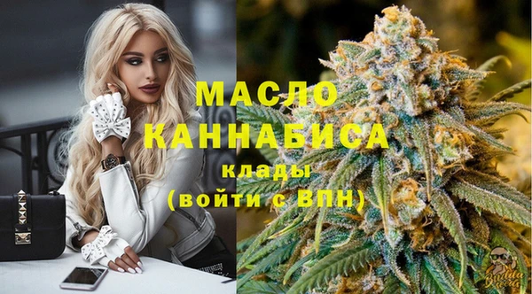 гашик Нея