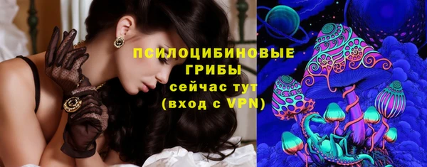 спиды Нефтегорск