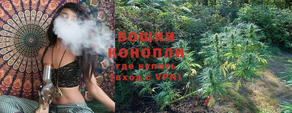 гашик Нея